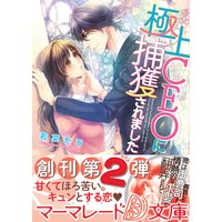 極上CEOに捕獲されました