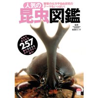 人気の昆虫図鑑