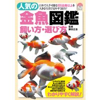 人気の金魚図鑑飼い方・選び方