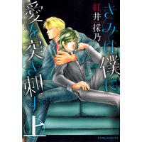 きみは僕に愛を突き刺す 上巻