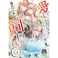愛に飼われて 騎士団長と奴隷姫【イラスト付】