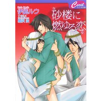 砂楼に燃ゆる恋