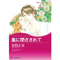 嵐に閉ざされて