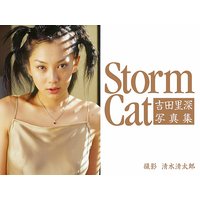 StormCat������Τ���̿���