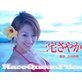 RaceQueenFiles�����𤵤䤫