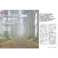 サーバー・サイドJavaの実力を探る
