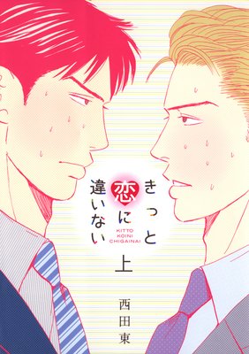 きっと恋に違いない (上)